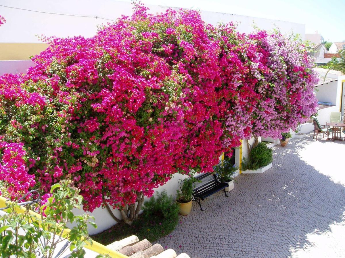 Rio Arade Algarve Manor House Otel Estômbar Dış mekan fotoğraf
