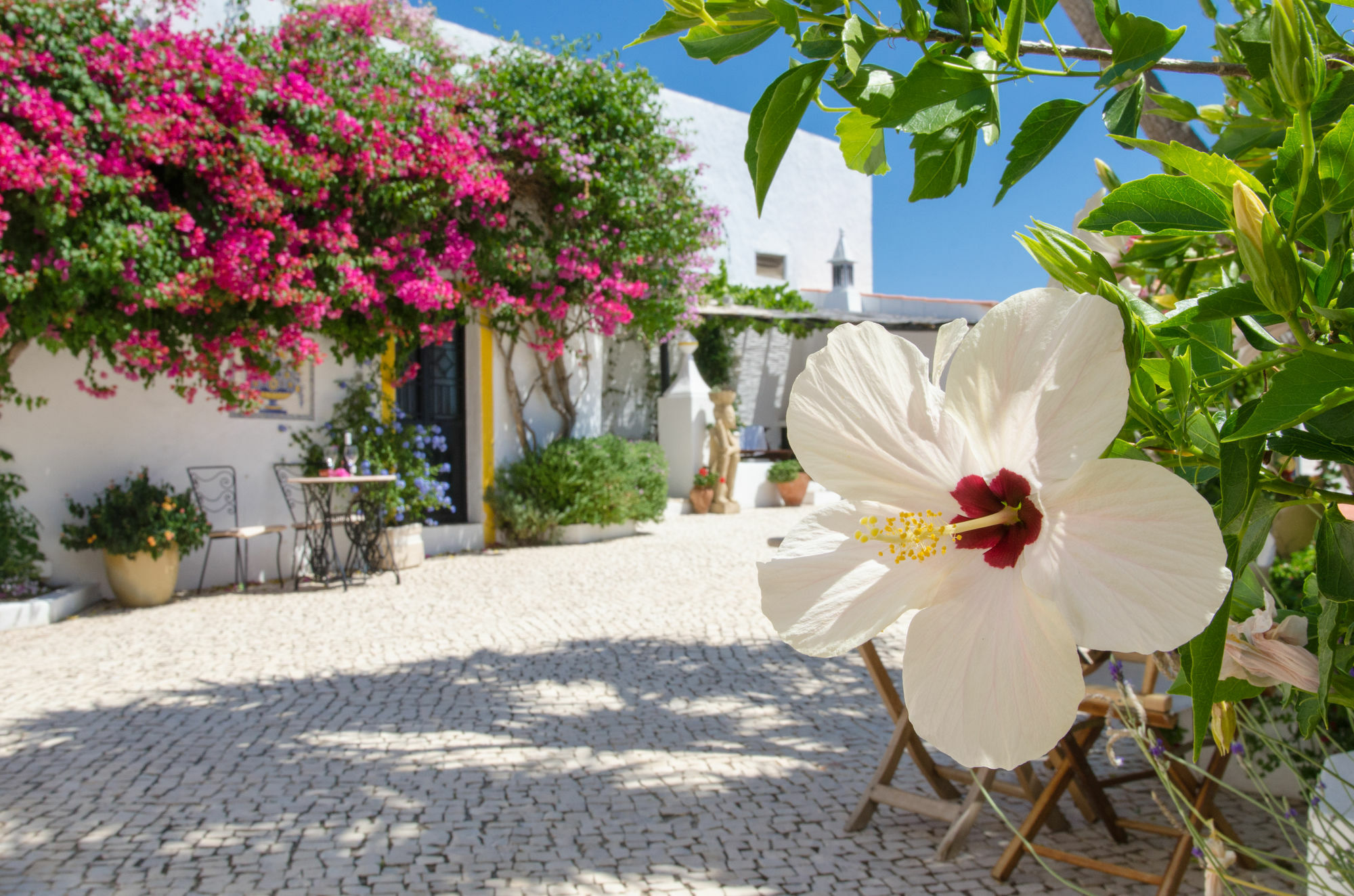 Rio Arade Algarve Manor House Otel Estômbar Dış mekan fotoğraf